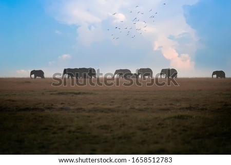 Caravan of elephants with children in tow inside the savannah of Tsavo East in Kenya Africa.