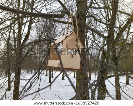 wooden nesting box hanging on a tree in the daytime at winter season