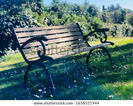 Single bench photo mix colors of spring and autumn