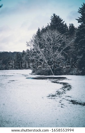 Winter im Schwarzwald Deutschland Landschaft