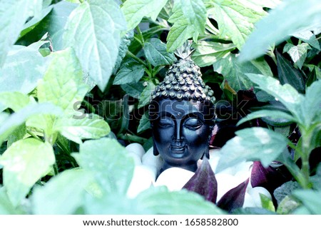Buddha face among green nature