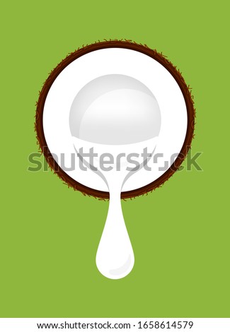 coconut half cut and coconut milk white drop isolated on green, illustration brown coconut and milk cream pouring, clip art coconut with white cream drop flow, vector