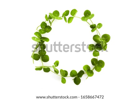 Green leaf clover on white. Saint patrick day. Celtic celebration. Party invitation poster.