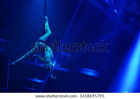 Flexible young woman make aerial performance , blue light, flexible split aerial circus show. Stretching women. Gymnast upside down, flexible back