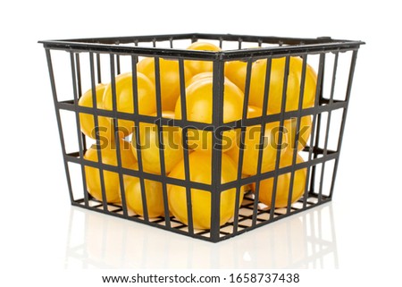 Lot of whole fresh yellow tomato in black plastic basket isolated on white background
