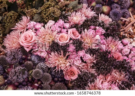 Variety of pink and purple flowers, floral visual, full bloom, vivid flowerscape, live wall, multicolored flowers, spring time