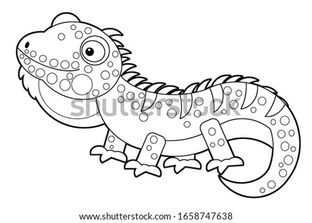 cartoon sketchbook american happy and funny lizard iguana isolated on white background- illustration for children