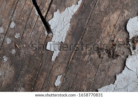 Wood texture photo for background or photo enhancement 