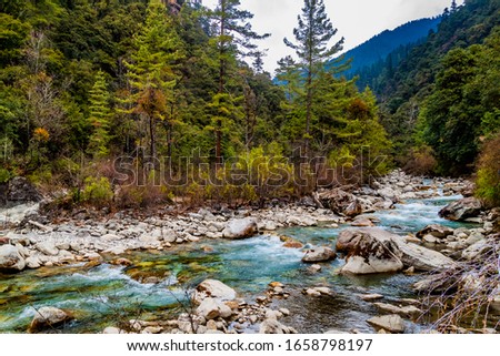 Thimphu Chhu mountain river. Bhutanese mountain forest and blooming rhododendrons on the banks. Cold swift rough river flows from the Himalayan mountains. Himalaya river landscape. Royalty-Free Stock Photo #1658798197