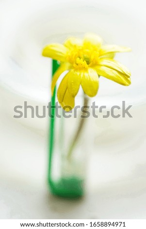 Small yellow flower in a vase cap from a ballpoint pen