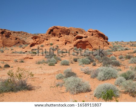 the gorgeous red rocks in the desert