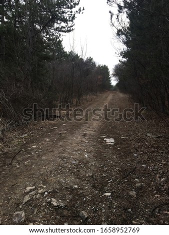 This photo is an forest path located near Stara Zagora,a city in Bulgaria.