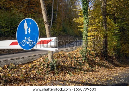 traffic signal. Asphalt roads in the swiss Alps, during autumn season, Sunny autumn day with in background