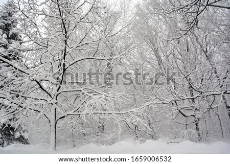 Winter landscape Montreal Quebec Canada