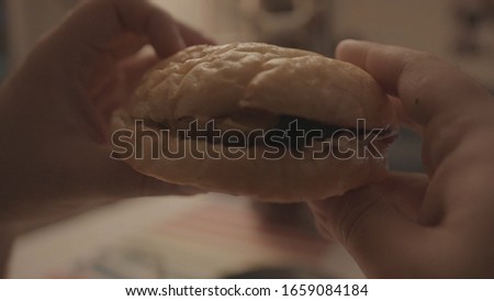 Close-up of large grey fluffy cat sitting at the table against the person eating hamburger. Stock footage. Domestic animals concept
