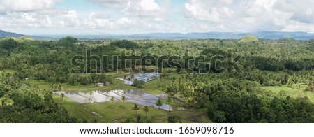 Green grass on the Chocolate Hills in Central Visayas on Bohol Island, Philippines.