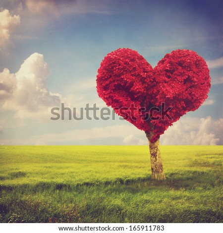 Heart shape red tree in meadow over blue sky