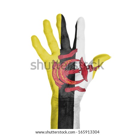 Palm of a woman hand, painted with flag of Brunei