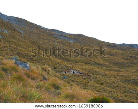 The way to Roys Peak,Wanaka,New Zealand