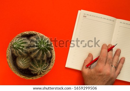 Potted cactus and open notebook top view