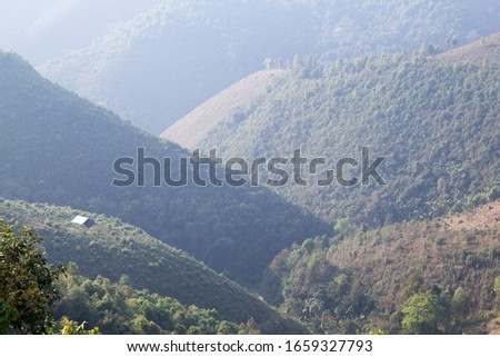 the green  agriculture field on mountain slopes at Oudomxay, Laos