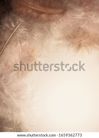 Soft pale yellow and pink feathers on white background