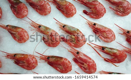 Sea prawns on ice. Boiled shrimps lie in even rows.