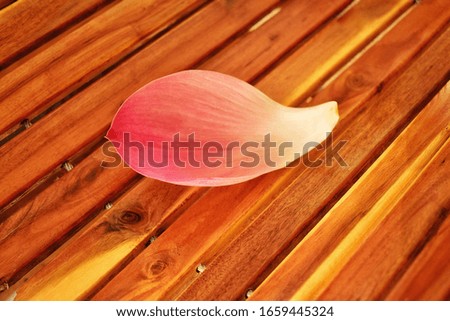 Pink lotus petals laid on beautiful red wooden floors