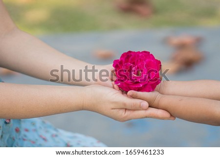 Girl gives her mother rose in garden, mother day concept