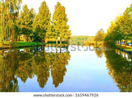 Three trees in autumn reflecting over the water. Lovely site.