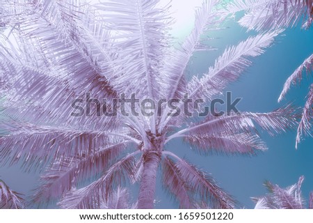 Infrared blue and purple colors of sunset at tropics with palm trees against amazing sky. Abstract summer travel background