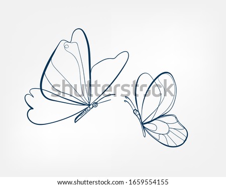 butterfly insect vector art line isolated doodle illustration Royalty-Free Stock Photo #1659554155