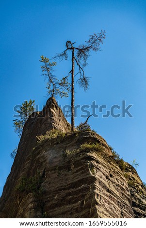Sandstone landscape in Bohemia, Czech Republic. Cliffs and mountains in Adrspach Teplice rocks, Europe hills.