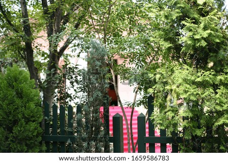 
Fashionable garden
Entrance trees accessories