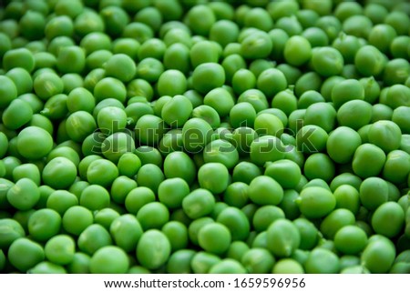 green fresh organic pea stock 