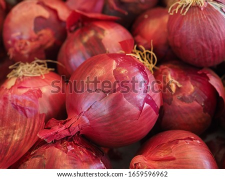 fresh organic onions stock in market 