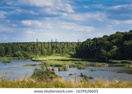 wide and shallow river with fast flow and islands of reed plants, wild deciduous and coniferous forest in background, sunny summer day with little clouds, light and shadow play on landscape