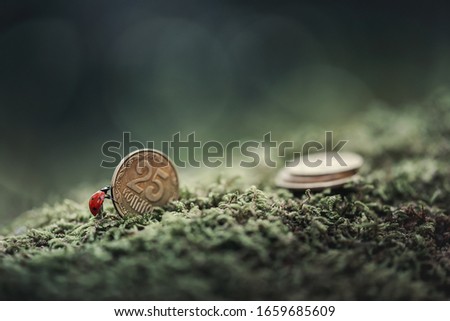 A magical scene, a fairy tale, in a magical forest, a tiny ladybug pushes a large gold coin up the slope. The concept of success, overcoming, goal, perseverance, leadership, obstacles, ambition