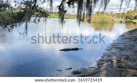Myakka River State Park is a Florida State Park, that is located nine miles (14 km) east of Interstate 75 in Sarasota County and a portion of southeastern Manatee County on the Atlantic coastal plain.