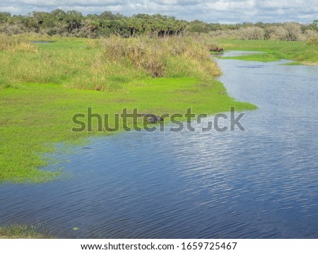 Myakka River State Park is a Florida State Park, that is located nine miles (14 km) east of Interstate 75 in Sarasota County and a portion of southeastern Manatee County on the Atlantic coastal plain.
