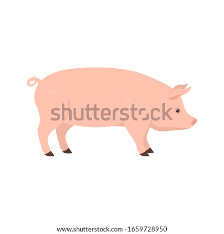 pig on the side. Isolated vector illustration