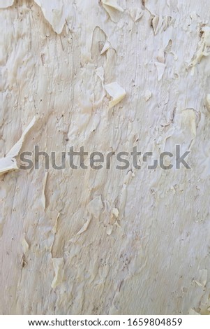 Paper Bark Background Texture For Adrtist Royalty-Free Stock Photo #1659804859