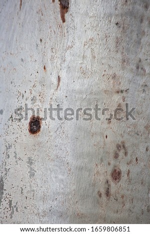 Gum Tree Abstract Bark Background Texture Collection Royalty-Free Stock Photo #1659806851