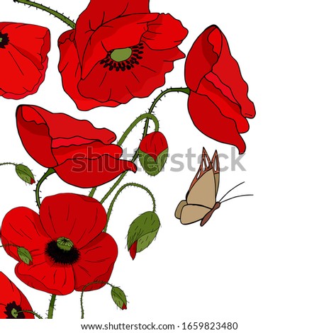 Template for greeting card with red poppies, butterfly and place for text on a white background. Butterfly sits on a flower. Hand drawing.