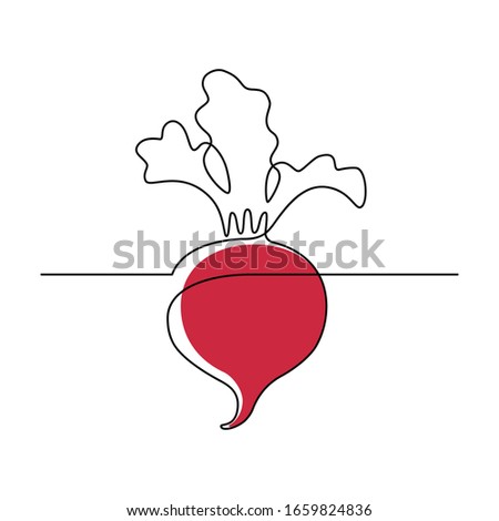 Simple beetroot design in continuous line art drawing style. Growing beet plant. Vector illustration Royalty-Free Stock Photo #1659824836