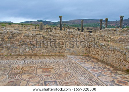 Ruins of the House of the Labors of Hercules in Volubilis in Meknes, Morocco