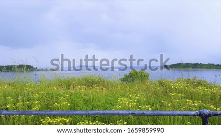 Overgrown grass and yellow flowers behind guard rail atop Fort Warren on Georges Island in Boston Harbor Islands National and State Park, overlooking the water and distant Boston skyline