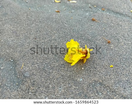Yellow flowers on the marble table