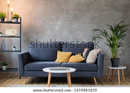 Interior with Sofa. Green Plant. Modern Interior.