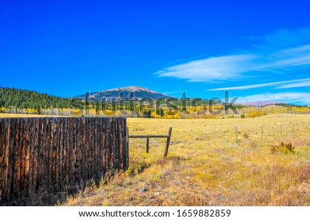 Autumn Foliage in FairPlay Colorado Royalty-Free Stock Photo #1659882859
